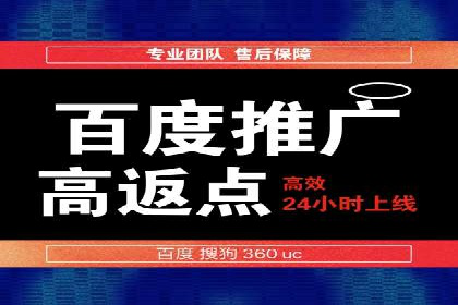 百度推广策略揭秘：某行业领头羊的成功经验