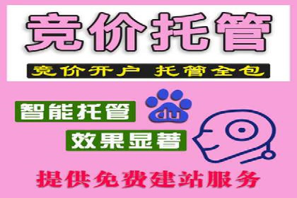 SEM代运营服务公司案例分析：数据驱动营销策略